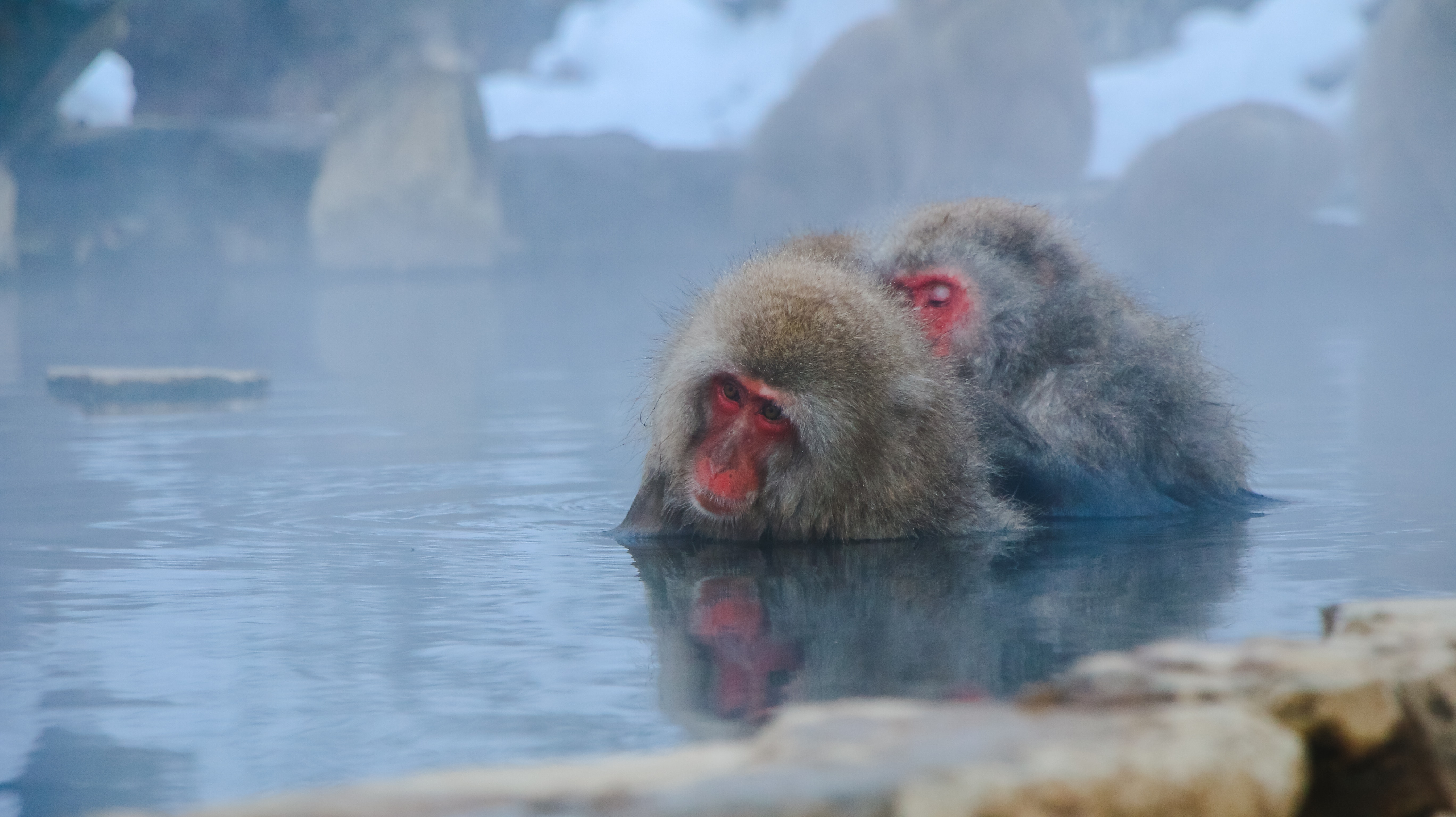 hot springs