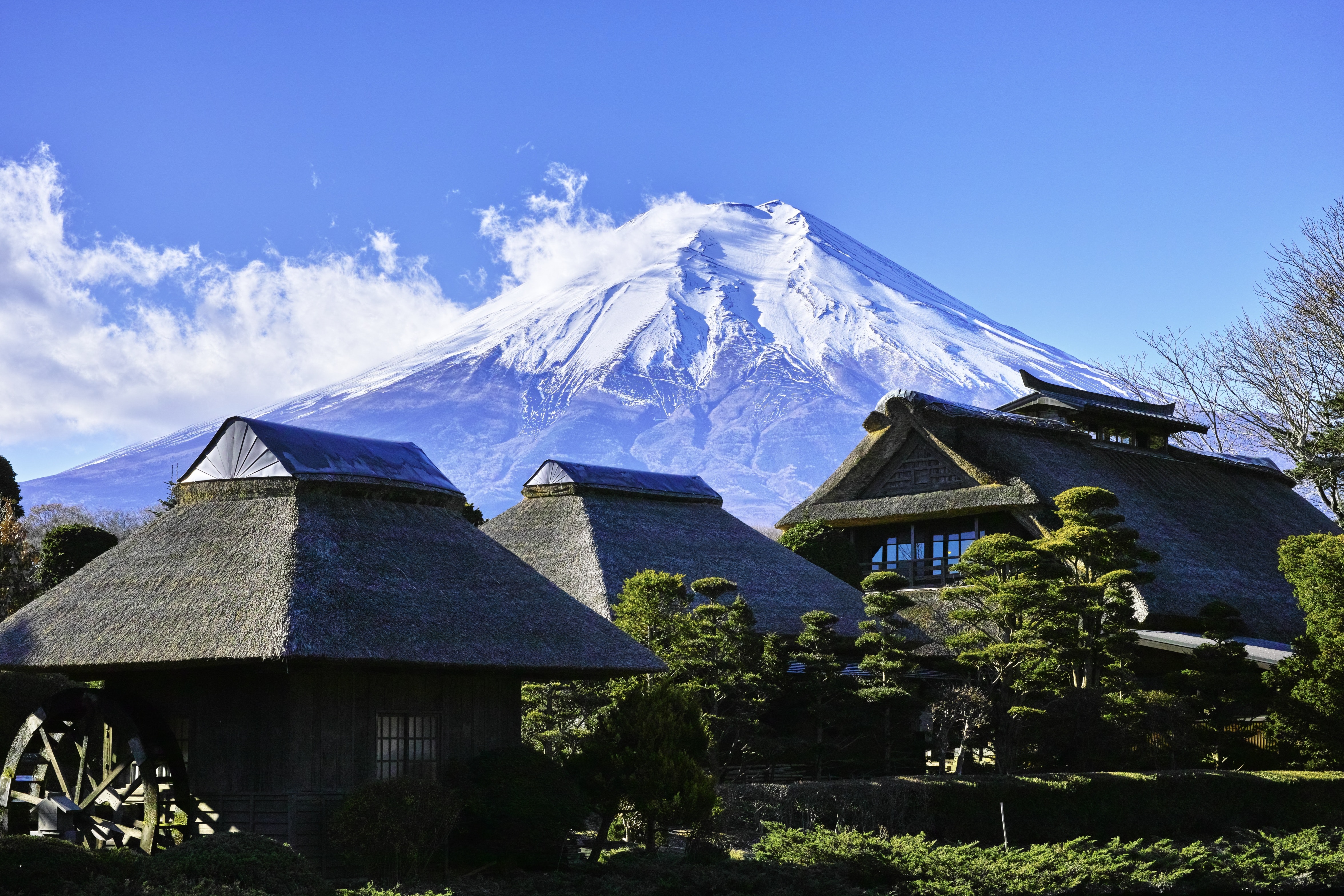 Mt.Fuji